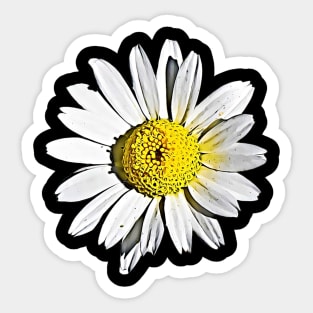 Denmark Flower Marguerite Daisy Argyranthemum Frutescens Pattern Sticker